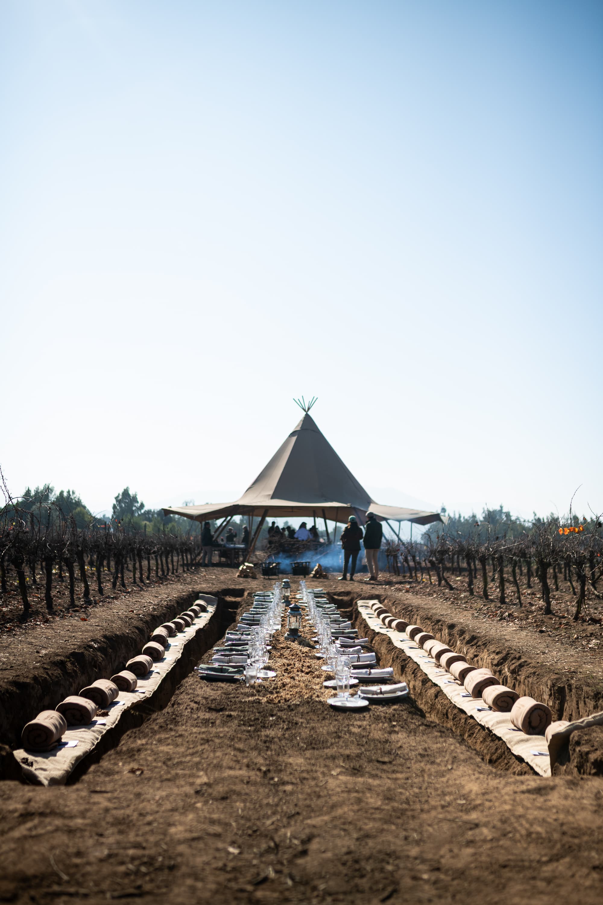Viña Casas del Bosque lanza línea Handcrafted en reemplazo de Gran Reserva