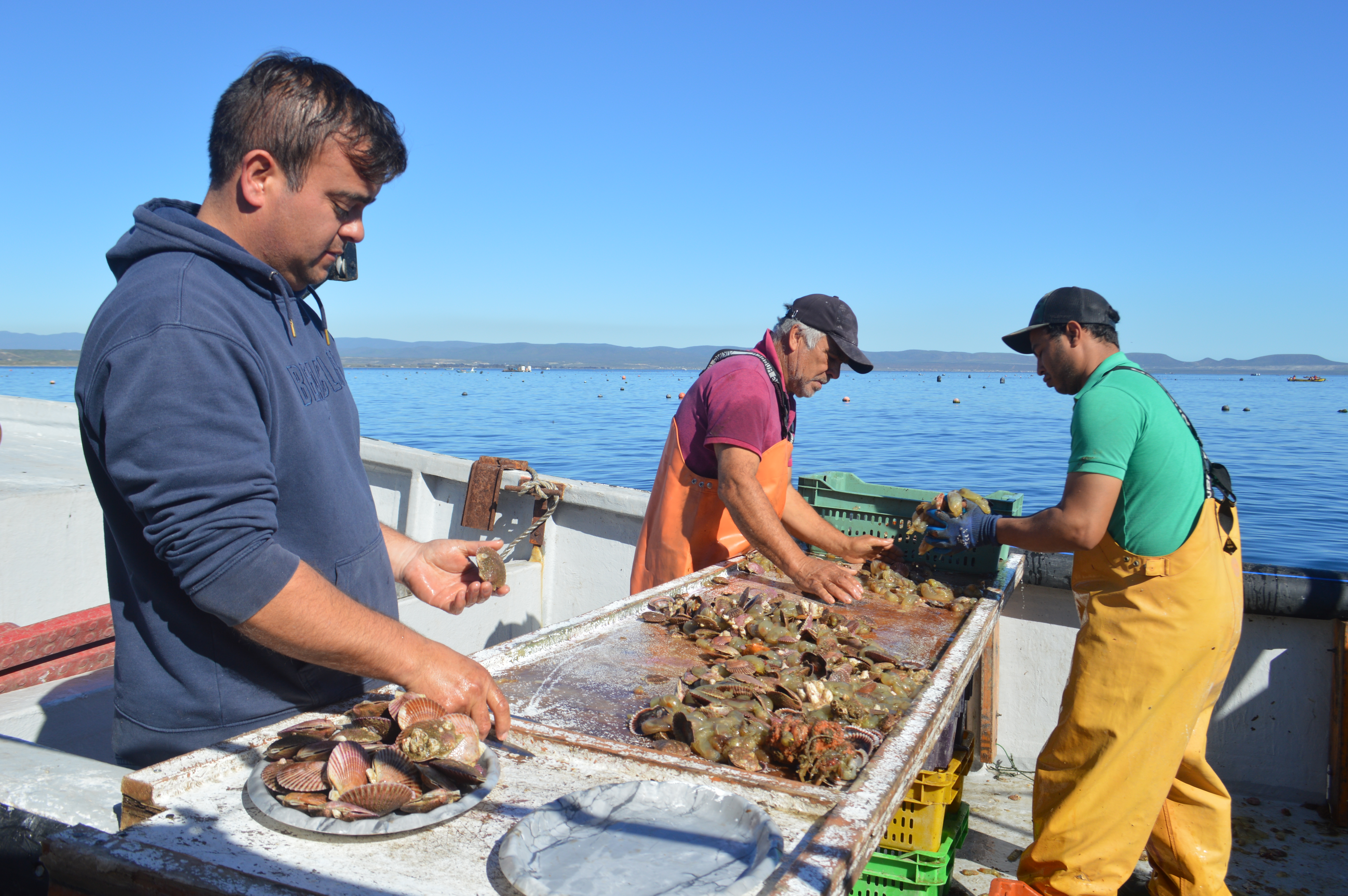 CEAZA entrega pronósticos de El Niño a pescadores de Tongoy