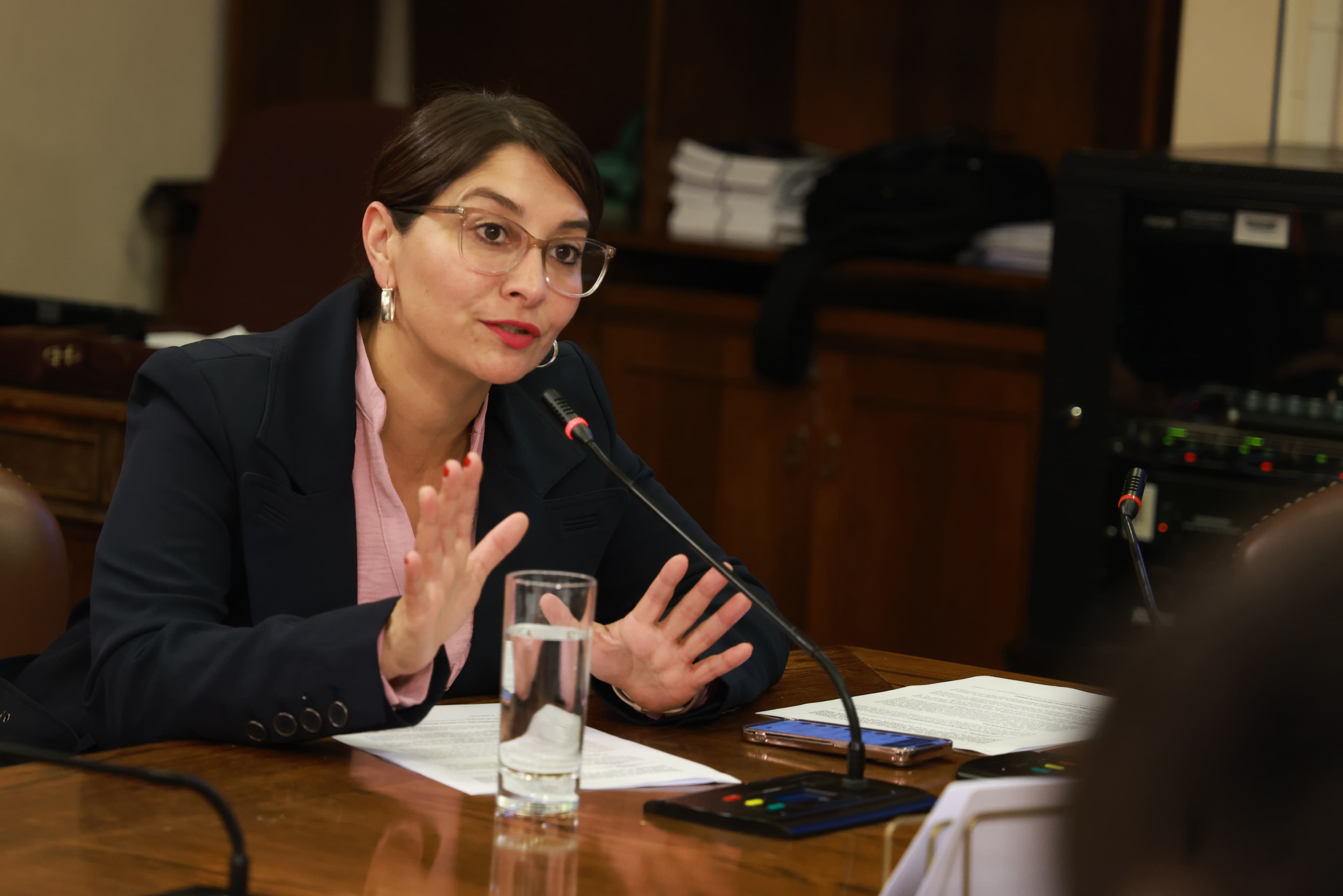 Diputada Castillo presenta 168 indicaciones contra desregulación ambiental en reforma tributaria