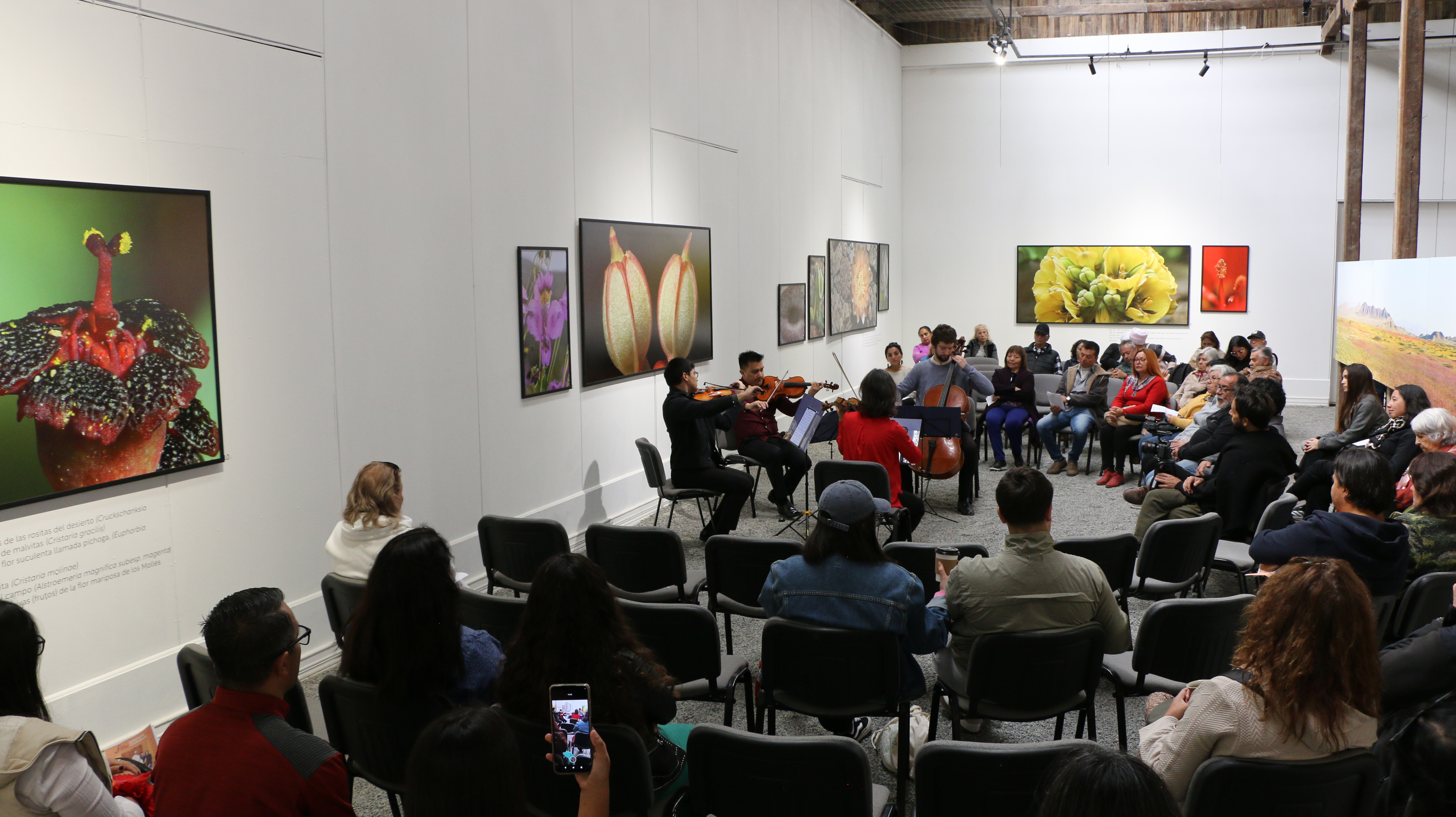 Bodegón Cultural Los Vilos y Fundación Chile Violines firman convenio de colaboración