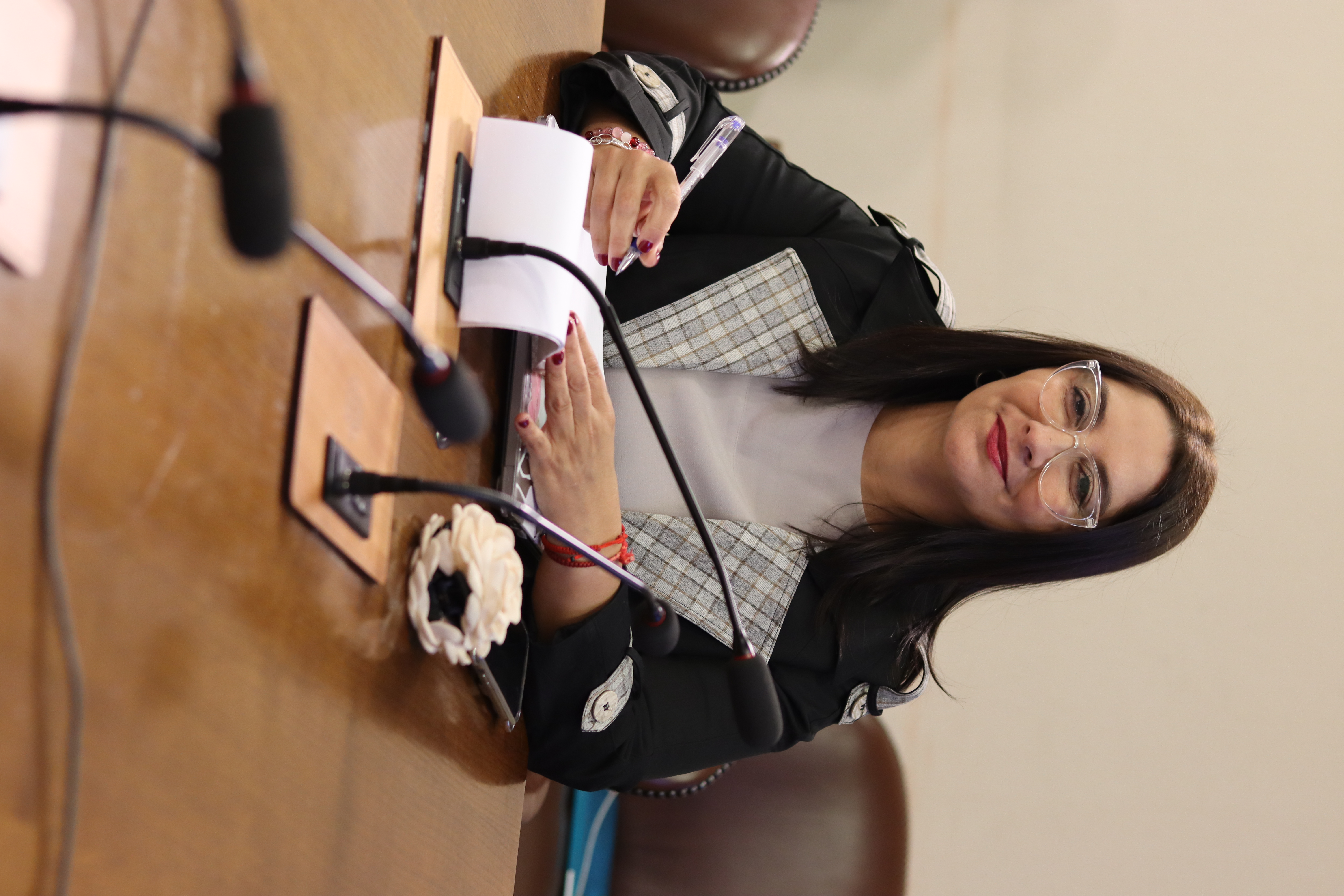 Diputada Castillo solicita sesión especial por recorte de $413 mil millones a hospitales públicos