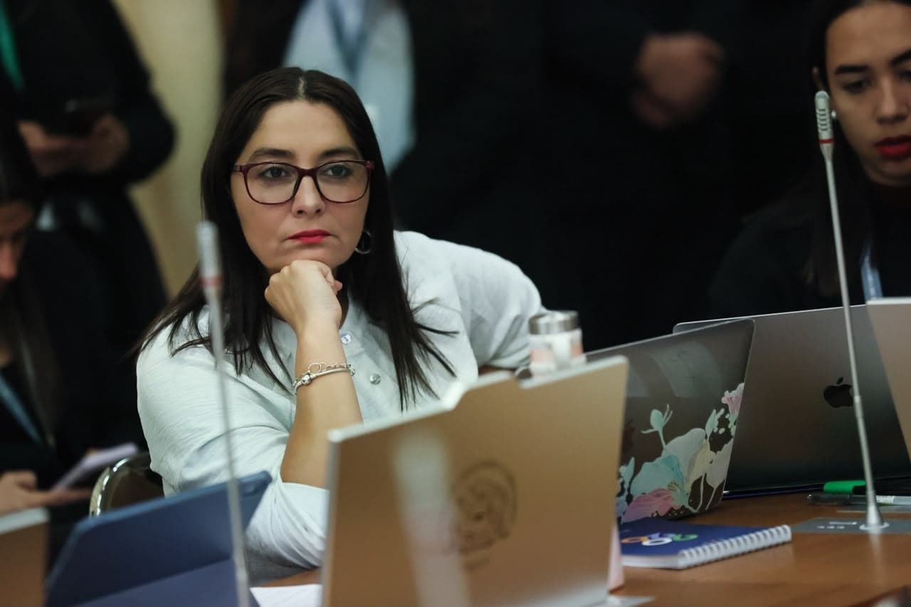 Diputada Castillo alerta retroceso laboral por indemnización del 1,8%