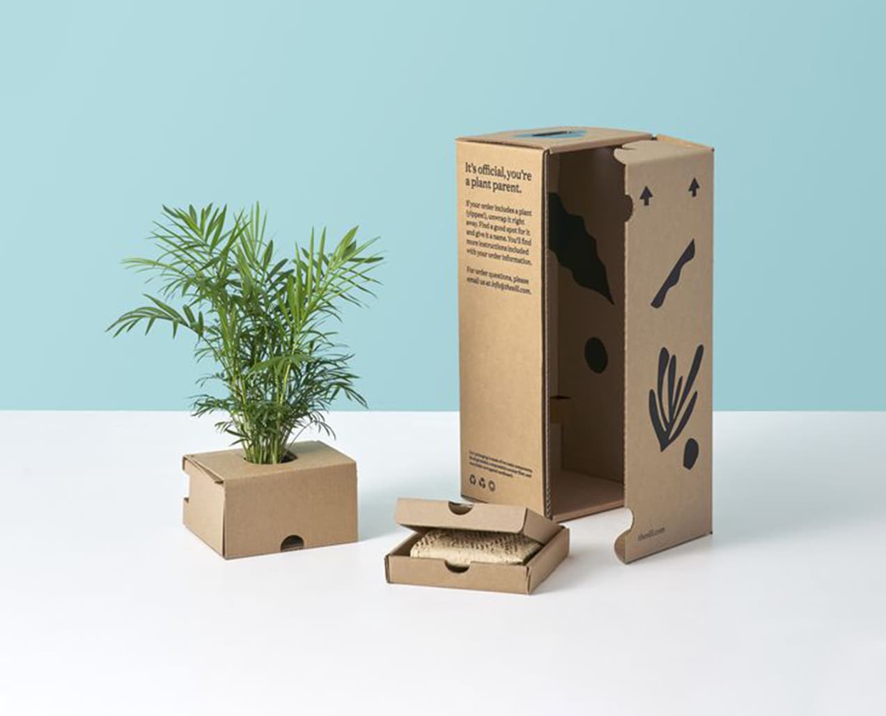 Laben Chile abre cupos gratuitos para capacitar PYMEs en packaging sostenible — foto 1