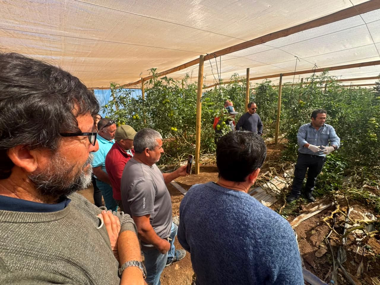 Corfo implementa tecnología de riego inteligente para 30 agricultores de Ovalle — foto 3