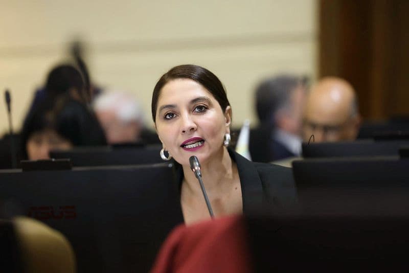 Diputada Castillo pide flexibilizar jornada laboral tras sistema frontal en Coquimbo
