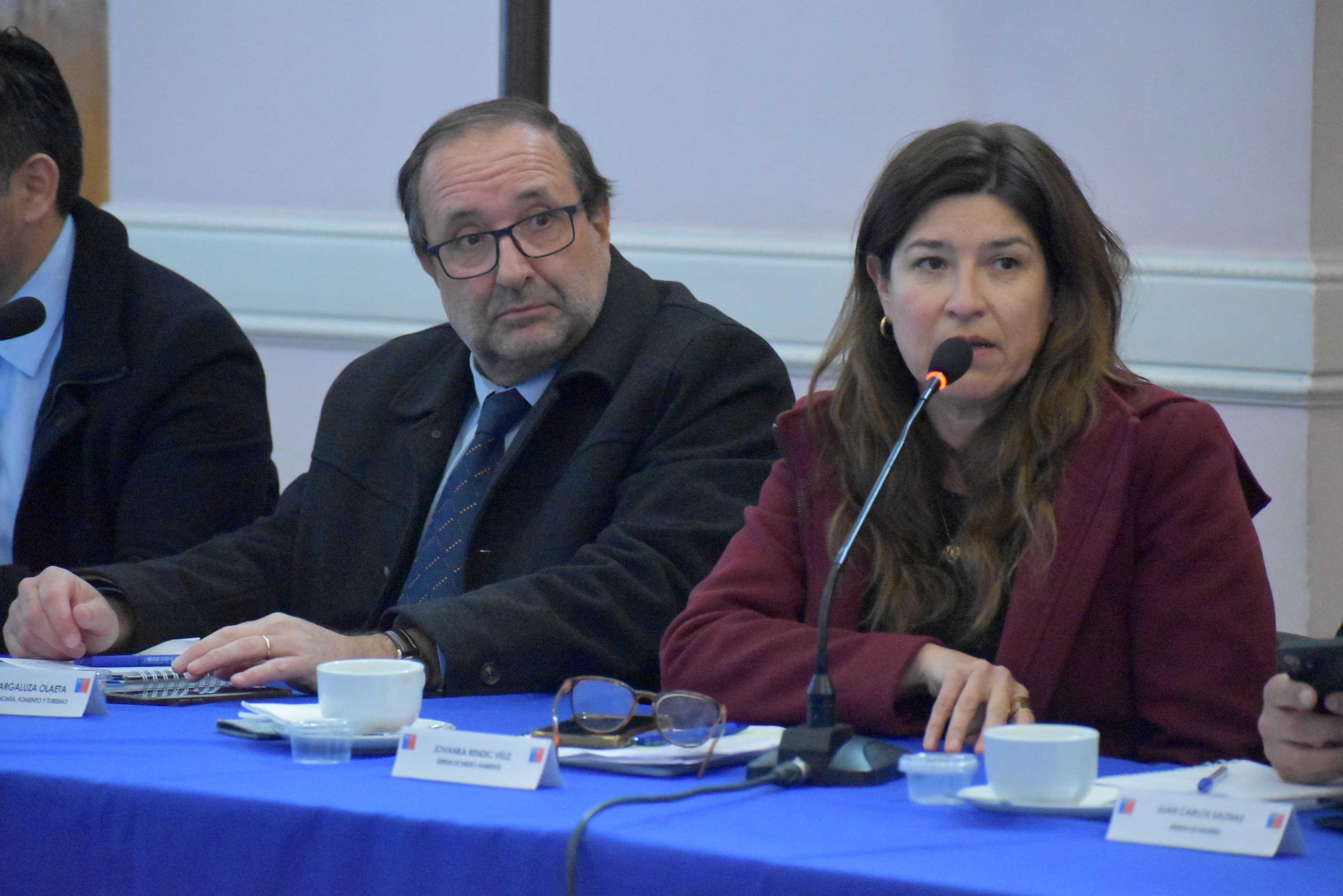 Gabinete regional sesiona en Ovalle para impulsar proyectos de la capital del Limarí — foto 3