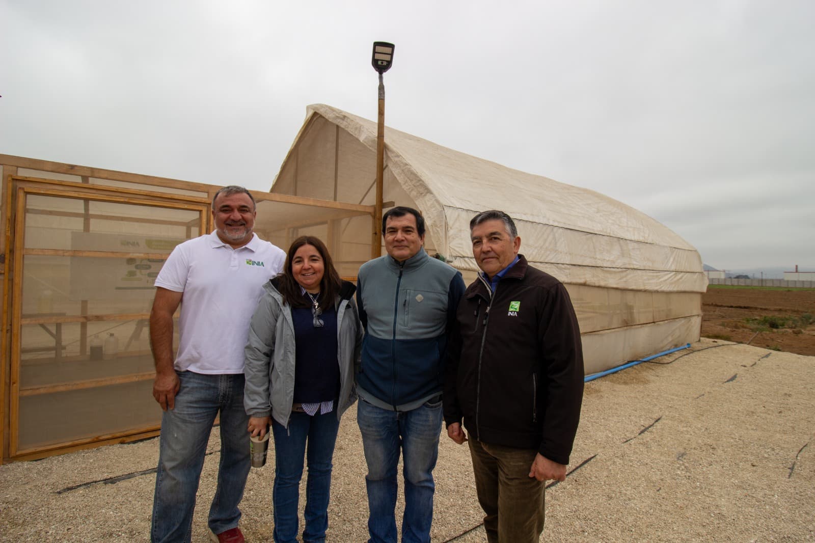 Corfo valida cultivo hidropónico de especies asiáticas Tatsoi y Mizuna en Coquimbo — foto 2