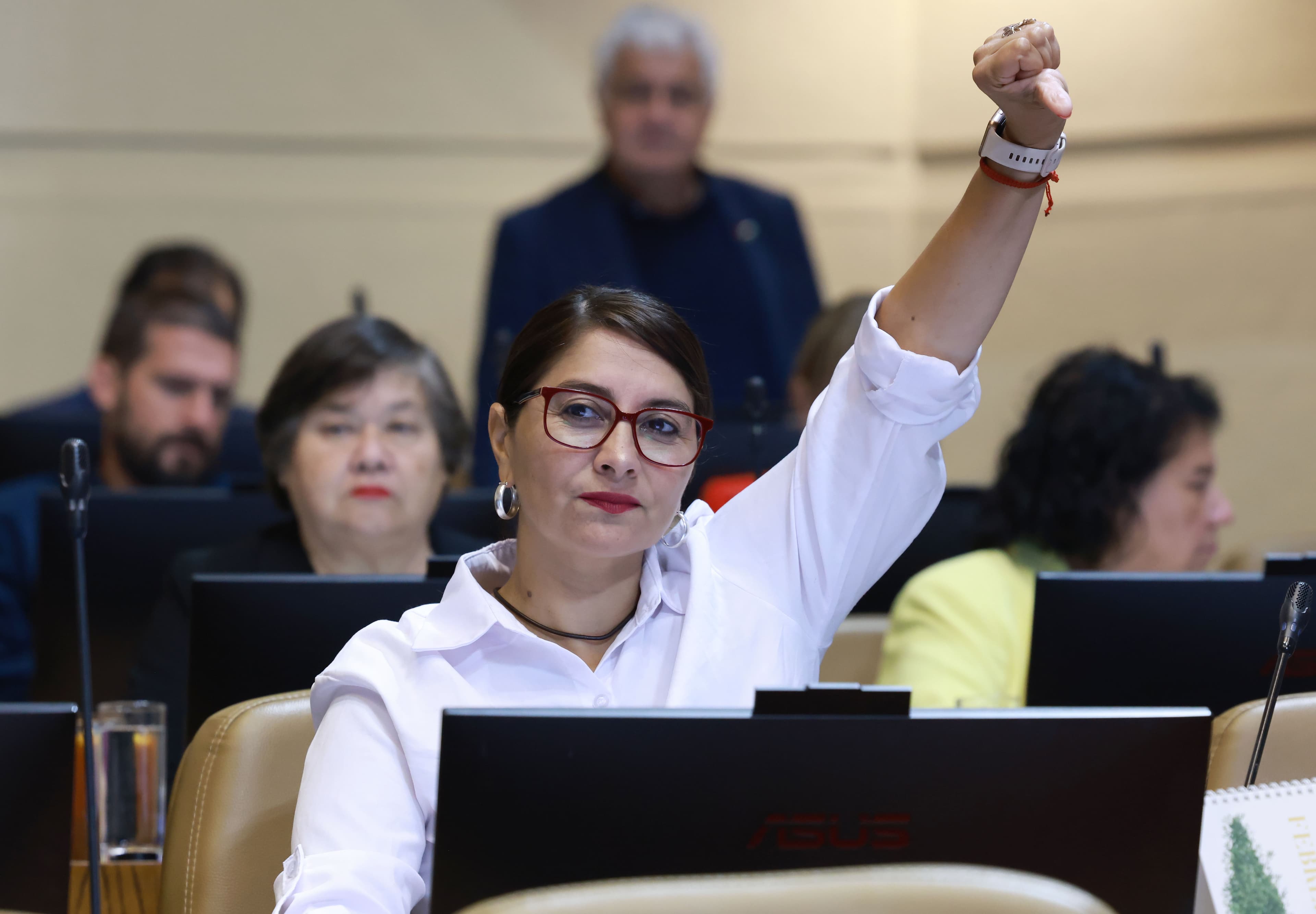 Diputada Castillo acusa a Kast de buscar enemigos internos ante caída en aprobación
