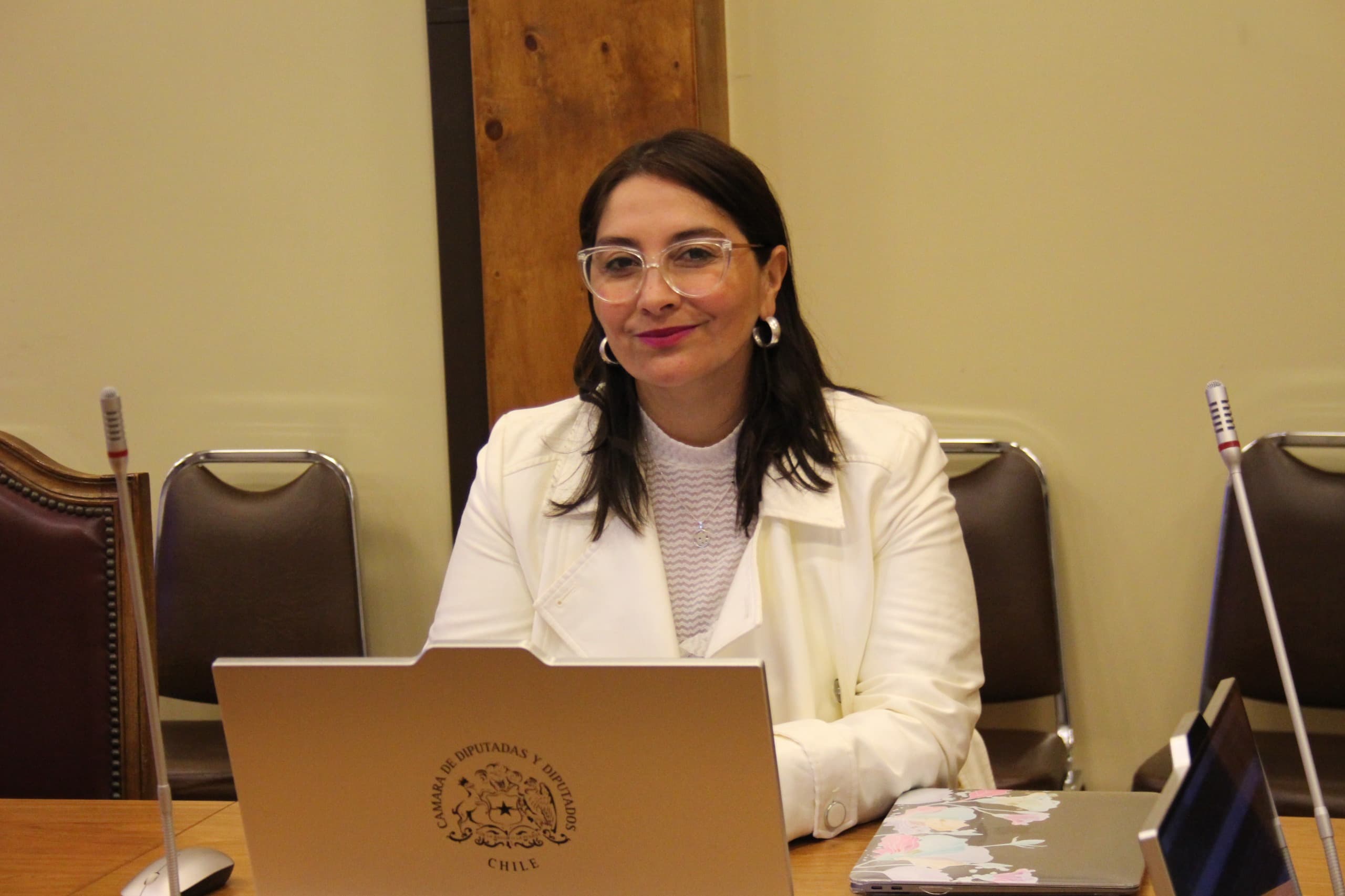 Diputada Castillo rechaza reforma tributaria que beneficia al 1% más rico