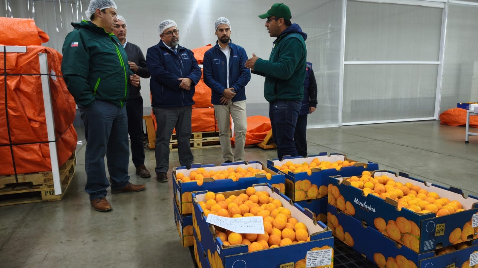 SAG implementa doble procesamiento para exportaciones frutícolas a Estados Unidos