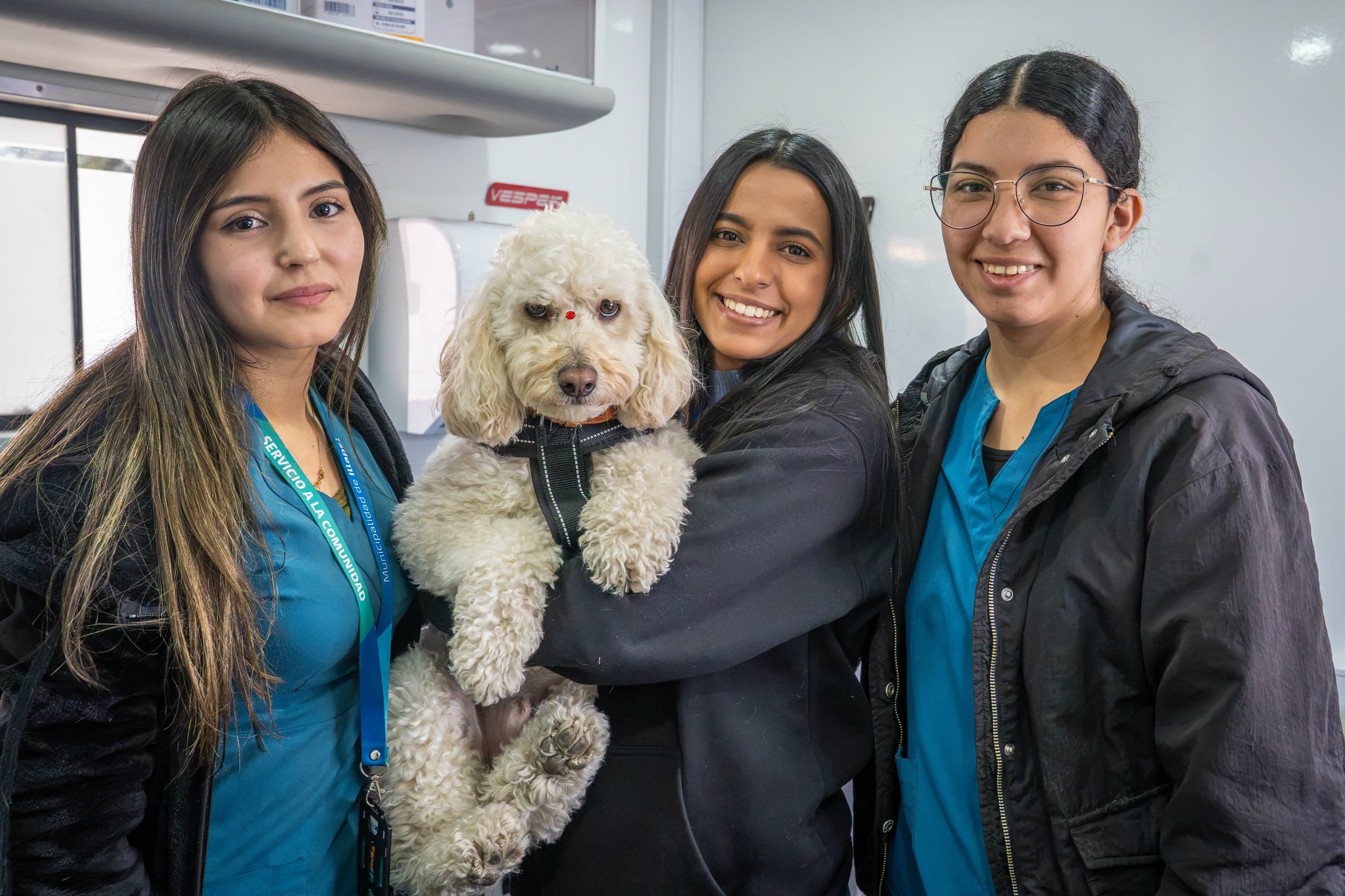 Municipalidad de Illapel realiza operativo veterinario gratuito para mascotas