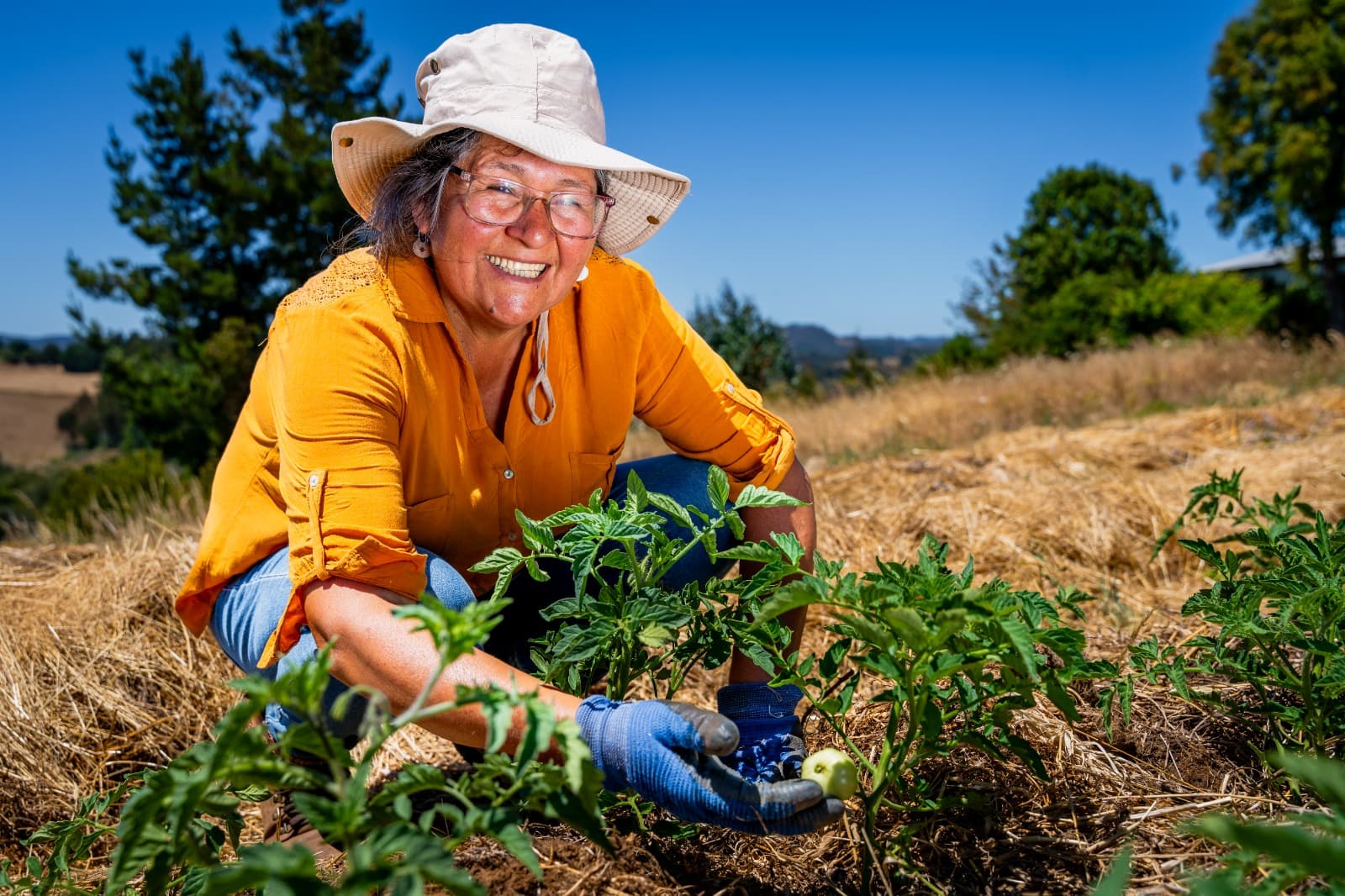 INDAP llama a Comunidades Agrícolas a actualizar documentación para acceder a beneficios