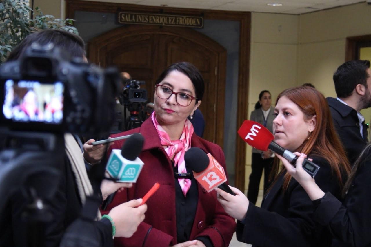 Diputada Castillo oficia a Seguridad por ex seremi que se hizo pasar por carabinero