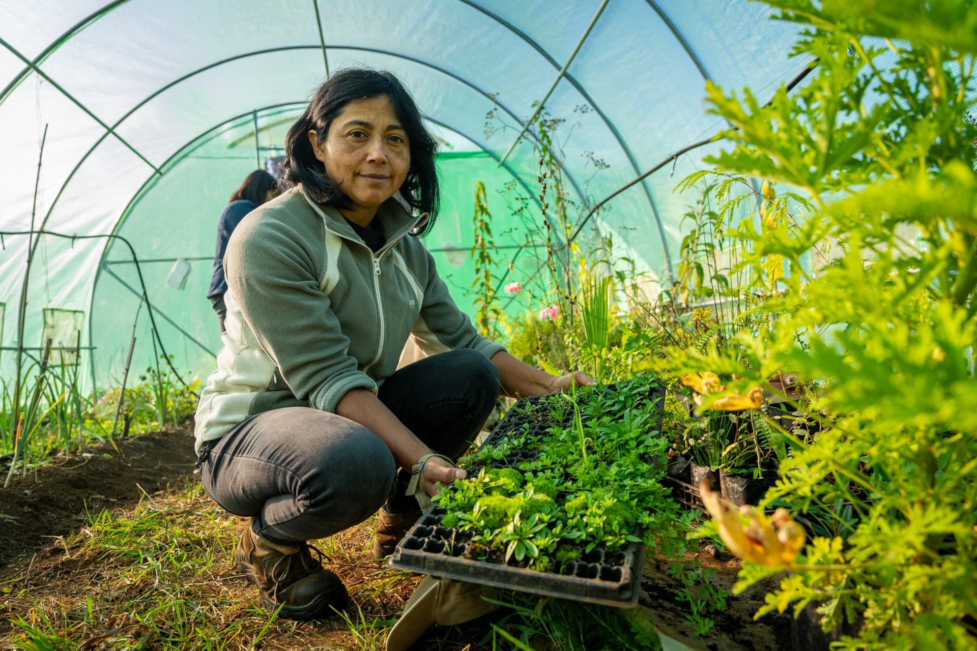 INDAP Coquimbo invita a conocer programas de apoyo a agricultura familiar campesina