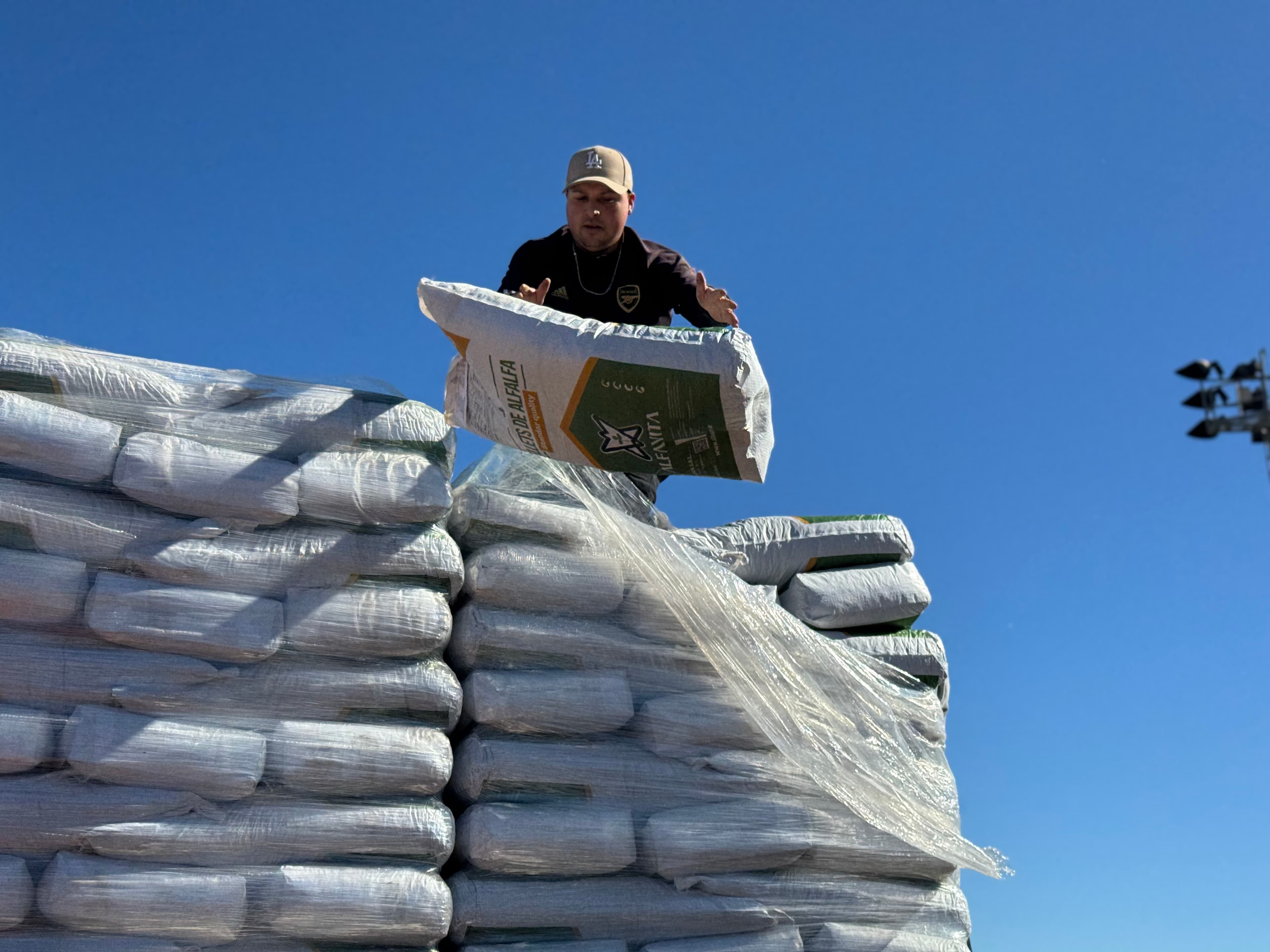 Los Vilos entrega 2.500 ayudas alimentarias a crianceros y apicultores del sector rural