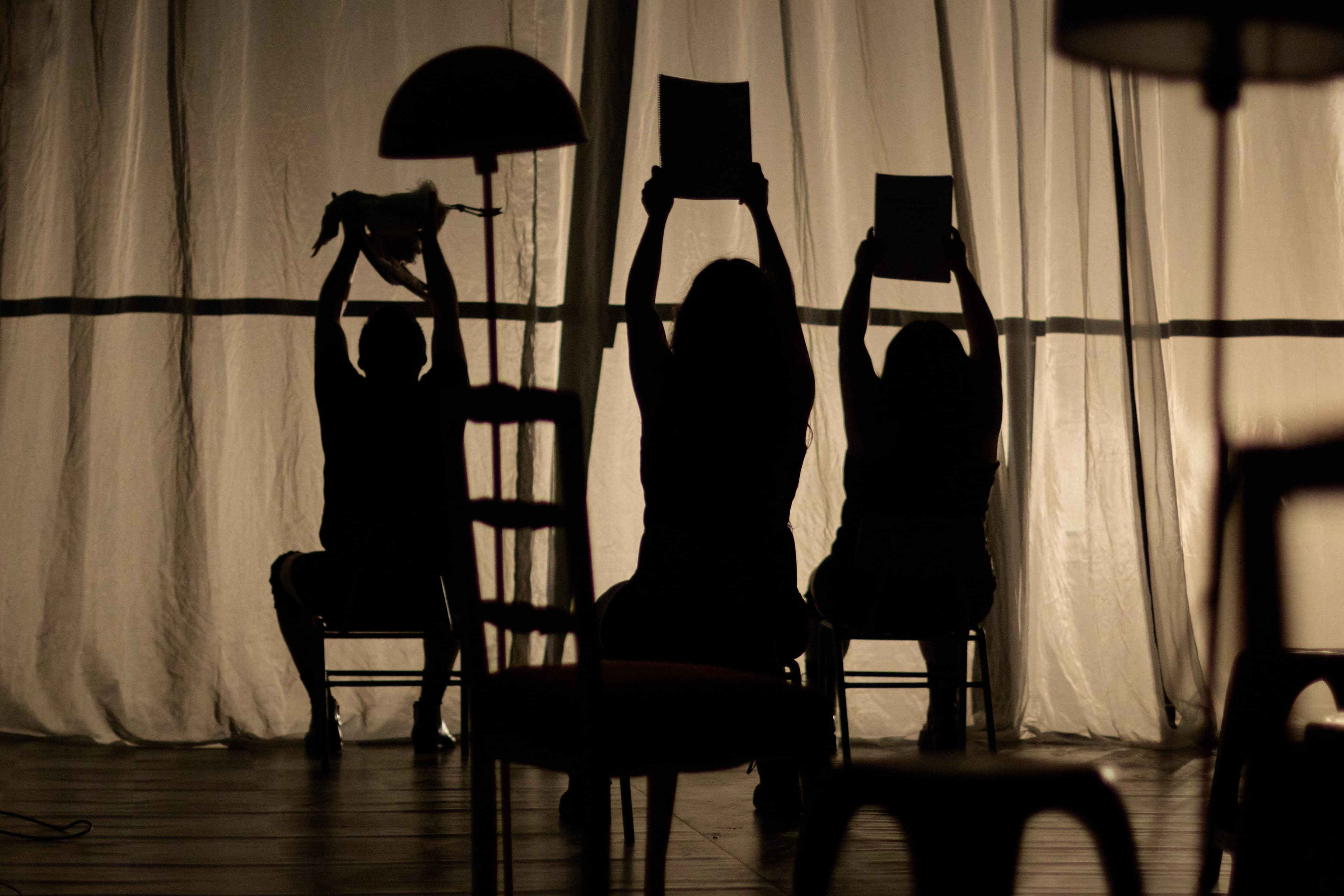 Espacio La Gaviota presenta cartelera teatral de agosto en Coquimbo