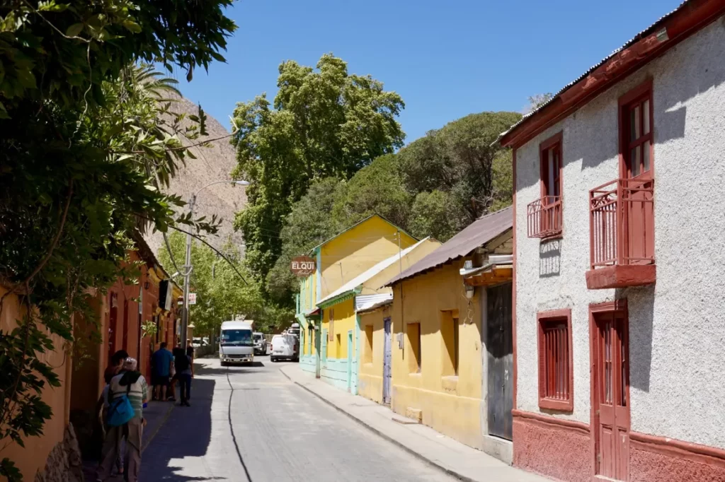 Foto extraida de: https://apuntesyviajes.com/2019/07/03/de-vicuna-a-pisco-elqui-20-anos-no-es-nada/