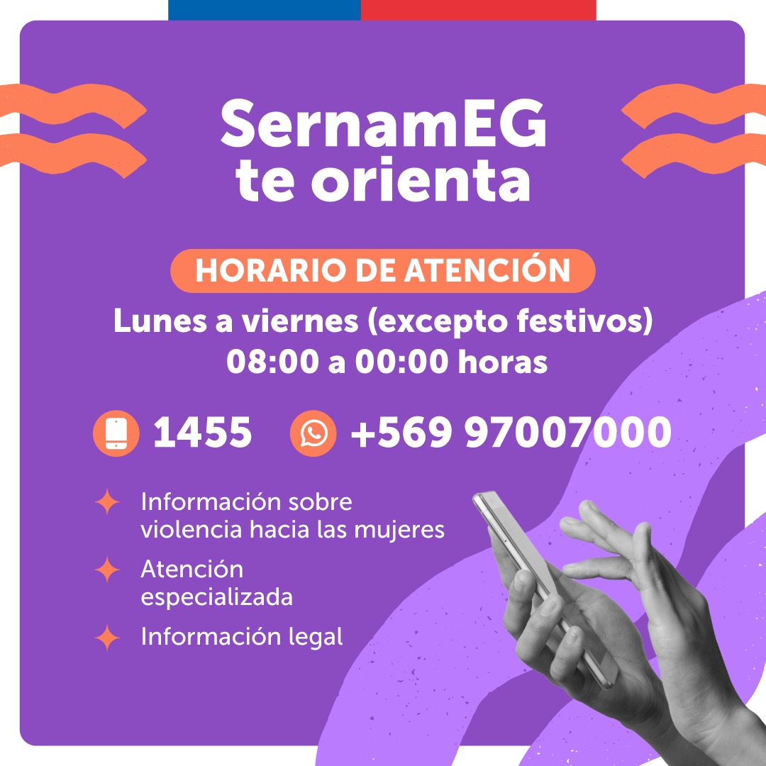 SernamEG Coquimbo refuerza información sobre los canales de orientación y denuncia en casos de violencia de género