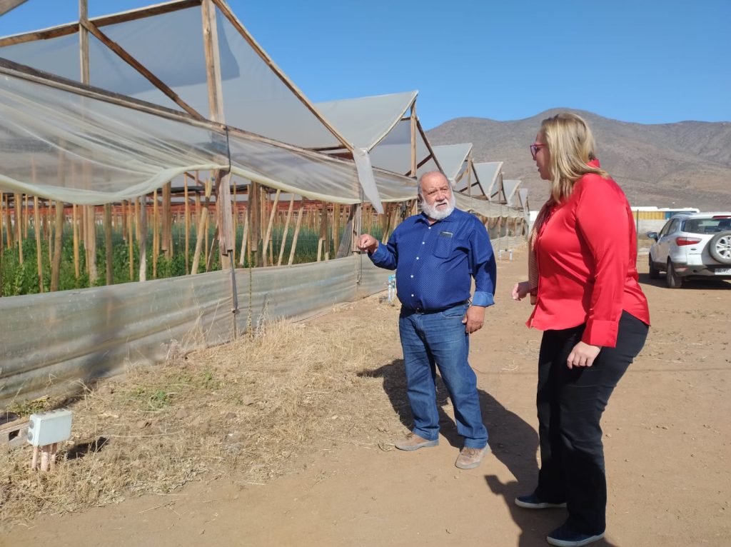 En la región de Coquimbo, existen 124 cooperativas vigentes y activas, en rubros como la pesca artesanal, el turismo, la agroindustria, las industrias creativas, el comercio o el ahorro y el crédito, entre otros.