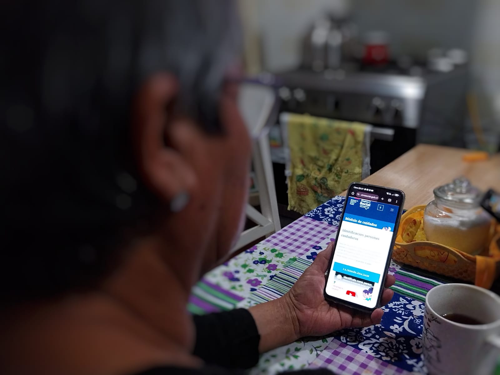 Una cuarta parte de las personas cuidadoras de la Región de Coquimbo se ha identificado en el Registro Social de Hogares