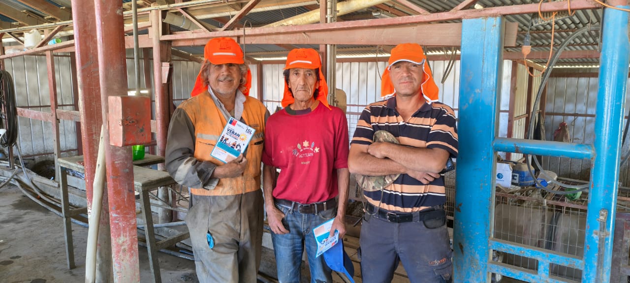 ISL Te Cuida: Campaña de Verano 2026 refuerza la prevención del calor extremo en la Región de Coquimbo