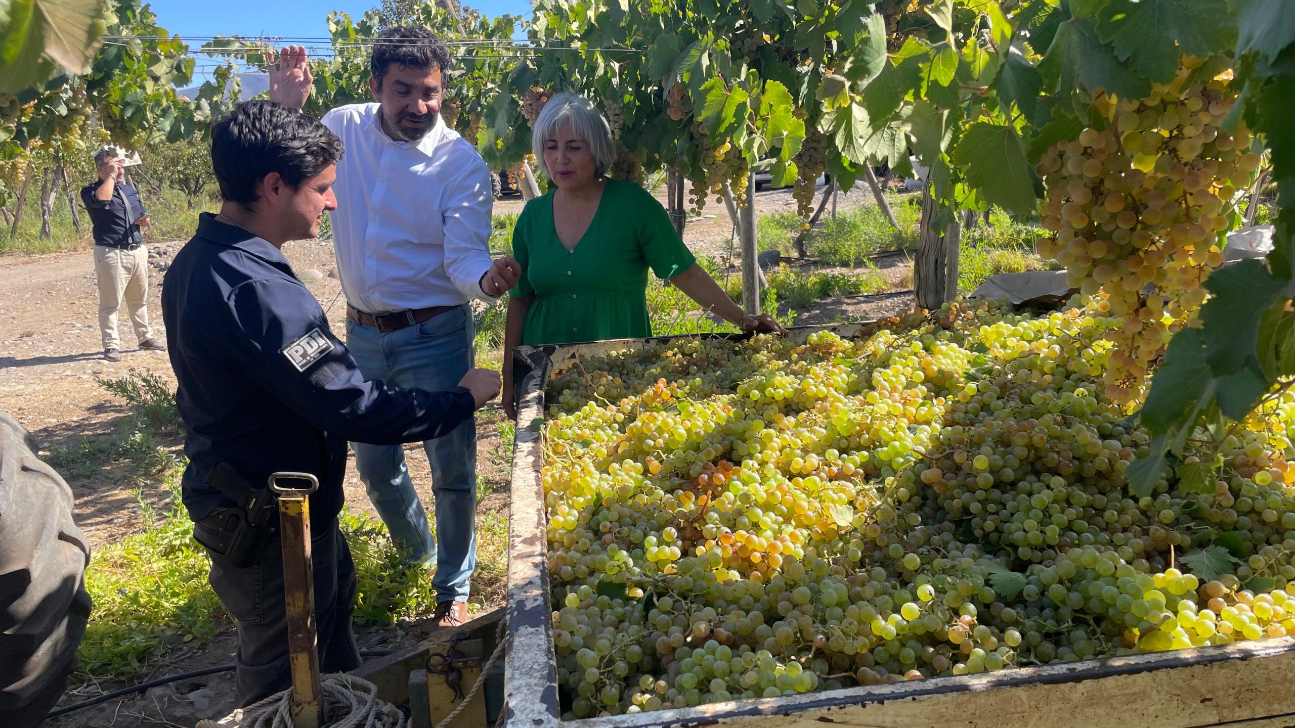 Delegación Presidencial de Limarí anuncia querella en causas por robos en predios agrícolas