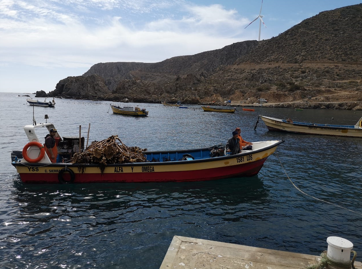 Gobierno entrega apoyo de hasta $600 mil a pescadores artesanales de la Región de Coquimbo